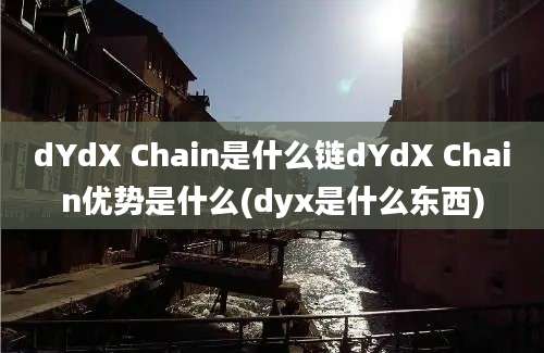 dYdX Chain是什么链dYdX Chain优势是什么(dyx是什么东西)