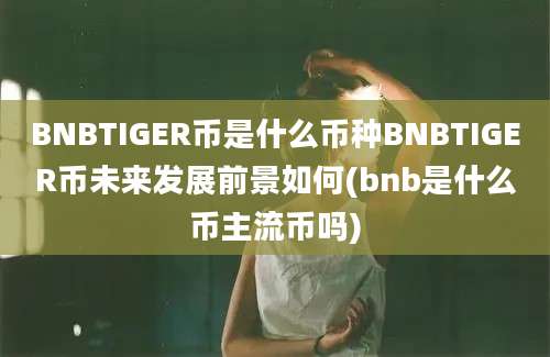 BNBTIGER币是什么币种BNBTIGER币未来发展前景如何(bnb是什么币主流币吗)