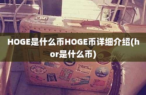 HOGE是什么币HOGE币详细介绍(hor是什么币)