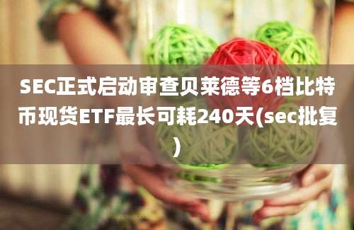 SEC正式启动审查贝莱德等6档比特币现货ETF最长可耗240天(sec批复)