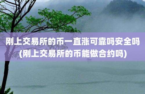 刚上交易所的币一直涨可靠吗安全吗(刚上交易所的币能做合约吗)