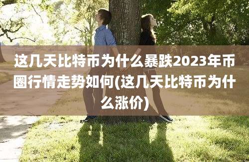 这几天比特币为什么暴跌2023年币圈行情走势如何(这几天比特币为什么涨价)