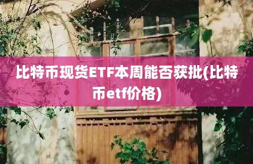 比特币现货ETF本周能否获批(比特币etf价格)