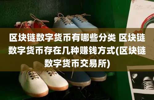 区块链数字货币有哪些分类 区块链数字货币存在几种赚钱方式(区块链数字货币交易所)