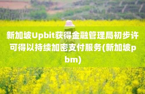 新加坡Upbit获得金融管理局初步许可得以持续加密支付服务(新加坡pbm)