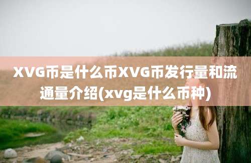 XVG币是什么币XVG币发行量和流通量介绍(xvg是什么币种)