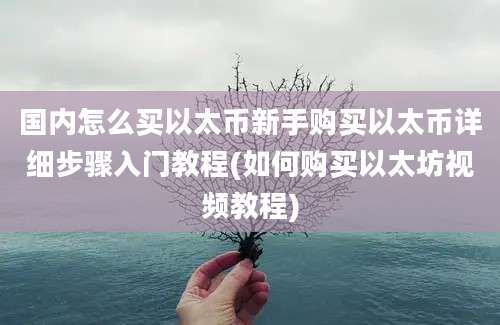 国内怎么买以太币新手购买以太币详细步骤入门教程(如何购买以太坊视频教程)