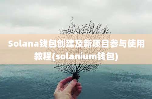 Solana钱包创建及新项目参与使用教程(solanium钱包)