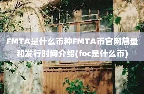 FMTA是什么币种FMTA币官网总量和发行时间介绍(foc是什么币)