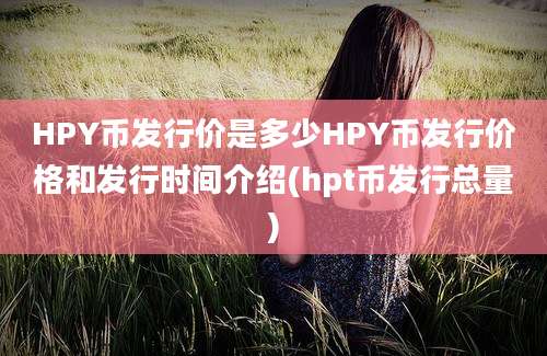 HPY币发行价是多少HPY币发行价格和发行时间介绍(hpt币发行总量)