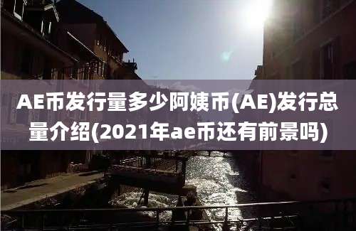 AE币发行量多少阿姨币(AE)发行总量介绍(2021年ae币还有前景吗)