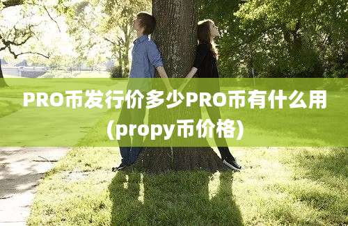 PRO币发行价多少PRO币有什么用(propy币价格)