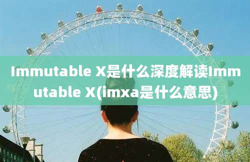 Immutable X是什么深度解读Immutable X(imxa是什么意思)