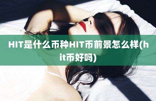 HIT是什么币种HIT币前景怎么样(hit币好吗)