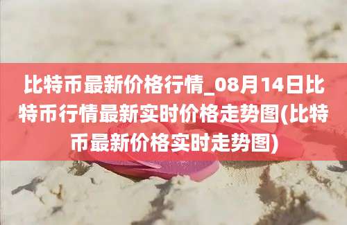 比特币最新价格行情_08月14日比特币行情最新实时价格走势图(比特币最新价格实时走势图)