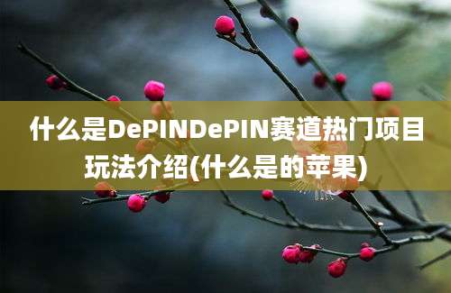 什么是DePINDePIN赛道热门项目玩法介绍(什么是的苹果)