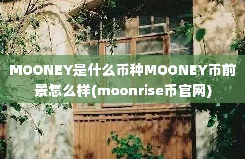 MOONEY是什么币种MOONEY币前景怎么样(moonrise币官网)