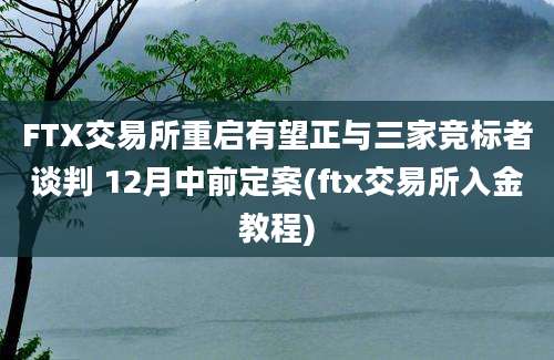 FTX交易所重启有望正与三家竞标者谈判 12月中前定案(ftx交易所入金教程)