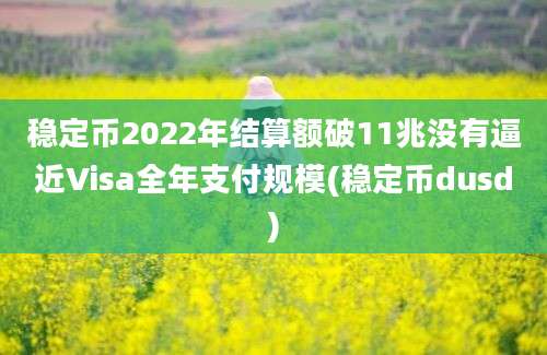 稳定币2022年结算额破11兆没有逼近Visa全年支付规模(稳定币dusd)