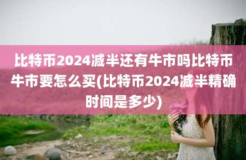 比特币2024减半还有牛市吗比特币牛市要怎么买(比特币2024减半精确时间是多少)