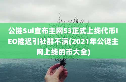 公链Sui宣布主网53正式上线代币IEO推迟引社群不满(2021年公链主网上线的币大全)