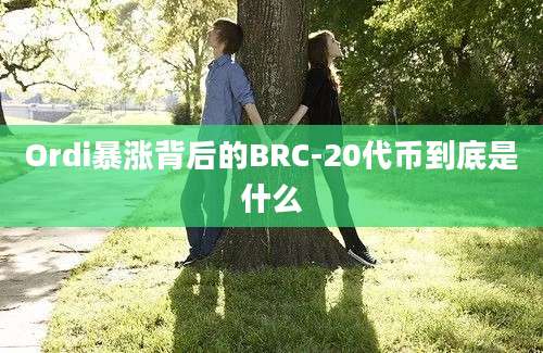 Ordi暴涨背后的BRC-20代币到底是什么