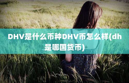 DHV是什么币种DHV币怎么样(dh是哪国货币)