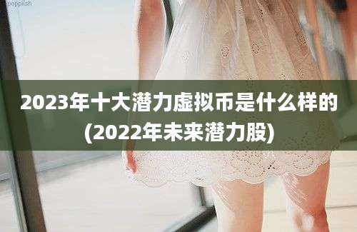 2023年十大潜力虚拟币是什么样的(2022年未来潜力股)