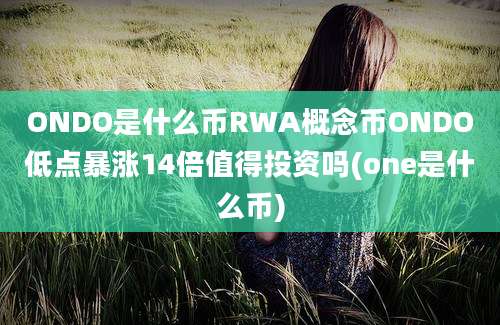 ONDO是什么币RWA概念币ONDO低点暴涨14倍值得投资吗(one是什么币)