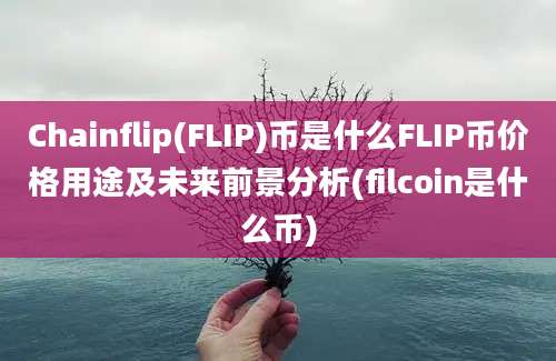 Chainflip(FLIP)币是什么FLIP币价格用途及未来前景分析(filcoin是什么币)