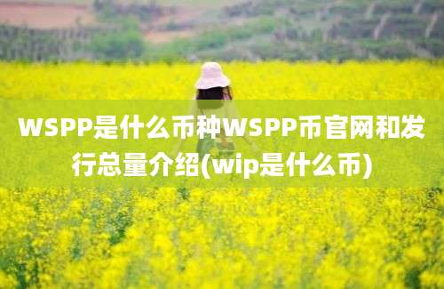 WSPP是什么币种WSPP币官网和发行总量介绍(wip是什么币)