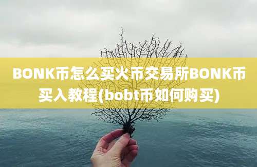 BONK币怎么买火币交易所BONK币买入教程(bobt币如何购买)