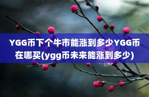 YGG币下个牛市能涨到多少YGG币在哪买(ygg币未来能涨到多少)