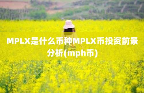 MPLX是什么币种MPLX币投资前景分析(mph币)