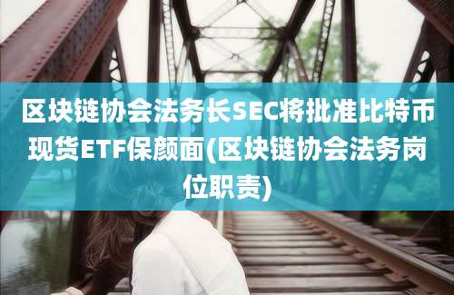 区块链协会法务长SEC将批准比特币现货ETF保颜面(区块链协会法务岗位职责)