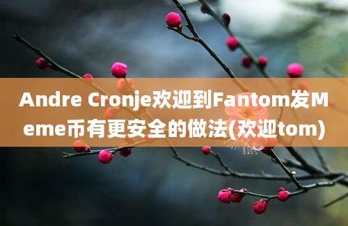 Andre Cronje欢迎到Fantom发Meme币有更安全的做法(欢迎tom)