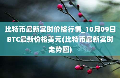 比特币最新实时价格行情_10月09日BTC最新价格美元(比特币最新实时走势图)