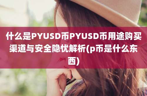 什么是PYUSD币PYUSD币用途购买渠道与安全隐忧解析(p币是什么东西)