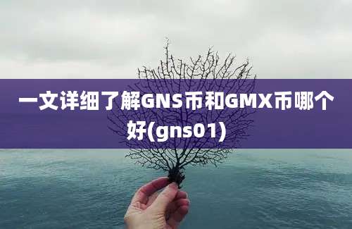 一文详细了解GNS币和GMX币哪个好(gns01)