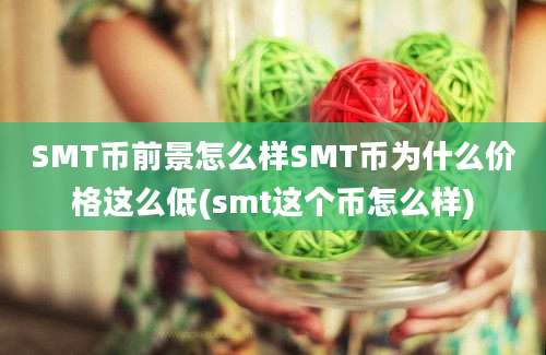 SMT币前景怎么样SMT币为什么价格这么低(smt这个币怎么样)