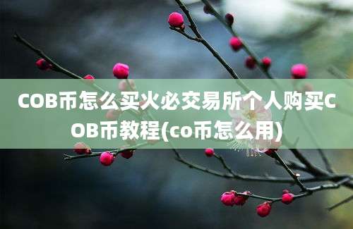 COB币怎么买火必交易所个人购买COB币教程(co币怎么用)