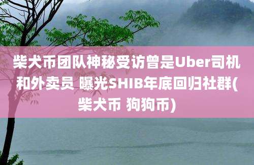 柴犬币团队神秘受访曾是Uber司机和外卖员 曝光SHIB年底回归社群(柴犬币 狗狗币)