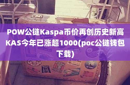 POW公链Kaspa币价再创历史新高KAS今年已涨超1000(poc公链钱包下载)