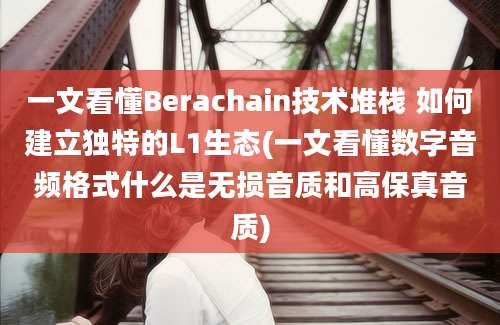 一文看懂Berachain技术堆栈 如何建立独特的L1生态(一文看懂数字音频格式什么是无损音质和高保真音质)