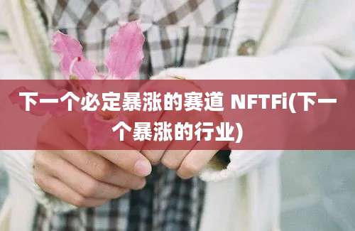 下一个必定暴涨的赛道 NFTFi(下一个暴涨的行业)