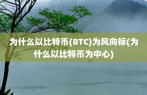 为什么以比特币(BTC)为风向标(为什么以比特币为中心)