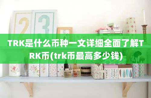 TRK是什么币种一文详细全面了解TRK币(trk币最高多少钱)