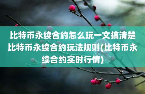 比特币永续合约怎么玩一文搞清楚比特币永续合约玩法规则(比特币永续合约实时行情)