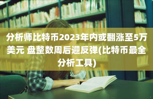 分析师比特币2023年内或翻涨至5万美元 盘整数周后迎反弹(比特币最全分析工具)