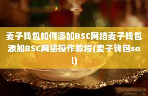 麦子钱包如何添加BSC网络麦子钱包添加BSC网络操作教程(麦子钱包sol)